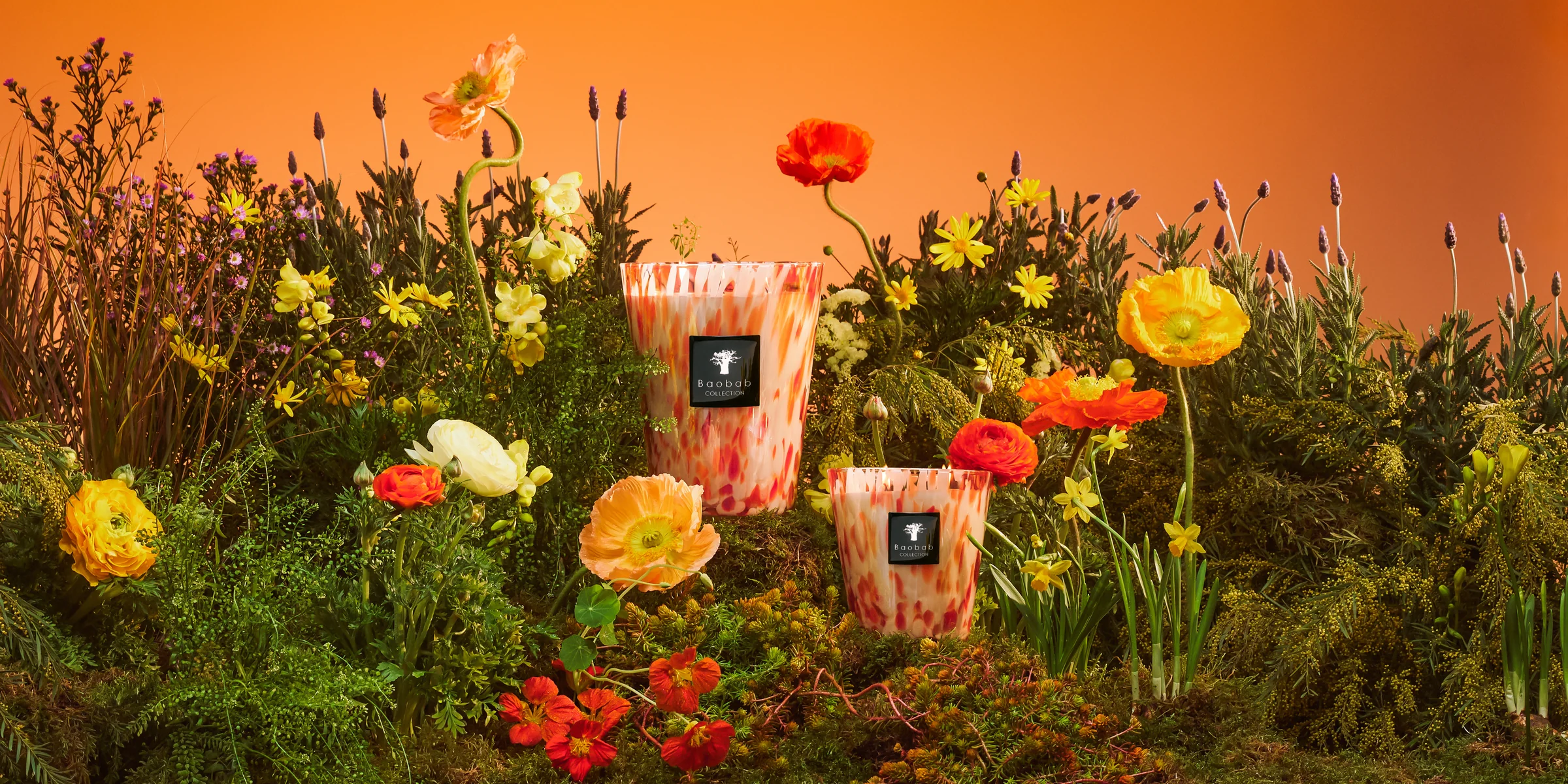Scented Journeys Through Global Cultures